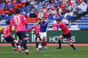 日联杯：大阪樱花VS横滨FC比分预测、胜负预测深度解析球队实力