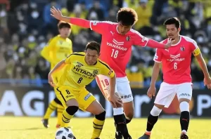 日联杯：东京绿茵VS柏太阳神比分预测、胜负预测深度解析球队实力