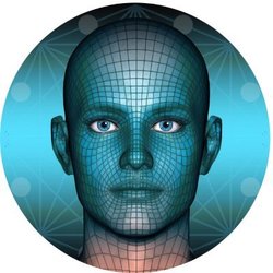 Metaverse FaceLOGO