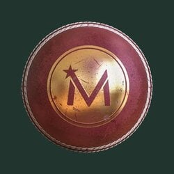 RobinosLOGO