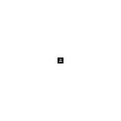 FairLightLOGO