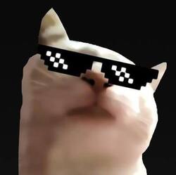 Vibing CatLOGO