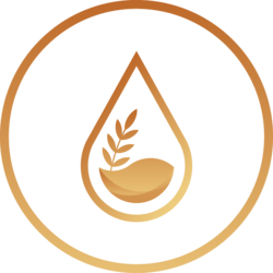 ENKI ProtocolLOGO